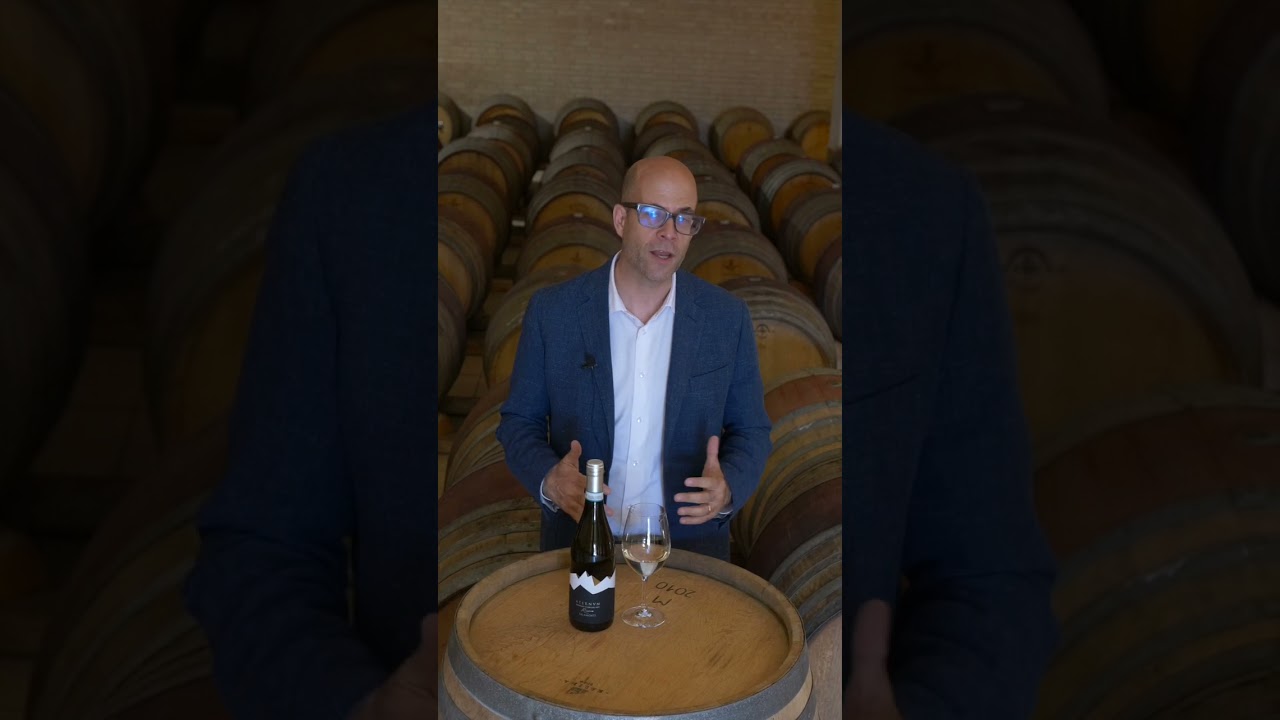 Talamonti ATERNUM - Trebbiano d'Abruzzo DOC Riserva