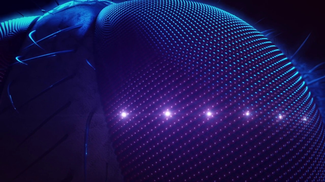 Lumnia LED - Sustainable Fly Control