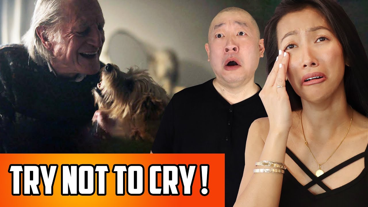 Lewis Capaldi - Wish You The Best Reaction | Dog Lovers Will Cry... Like Us!