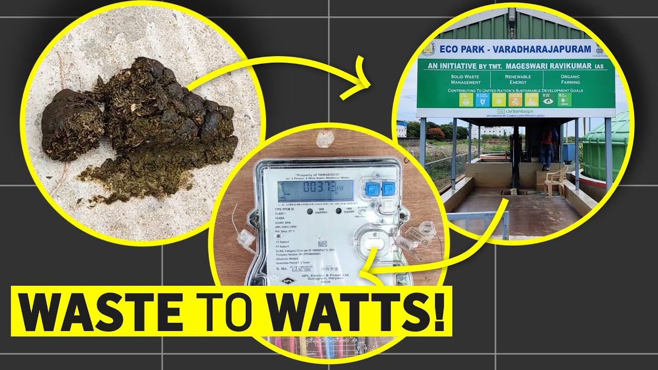 Tamil Nadu Village Turns Cow Dung to Electricity