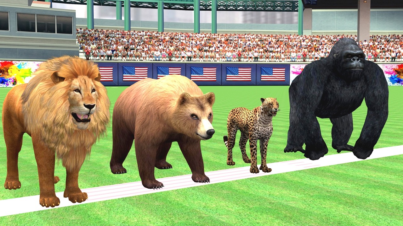 Lion Bear Lepoard Gorilla wild animal race II Wild animal Race