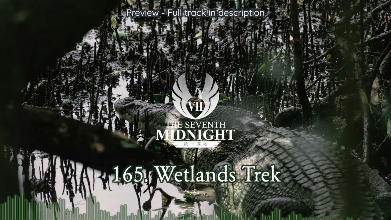 165. Wetlands Trek | RPG Marsh Theme | Fantasy Swamp Background Music | DnD