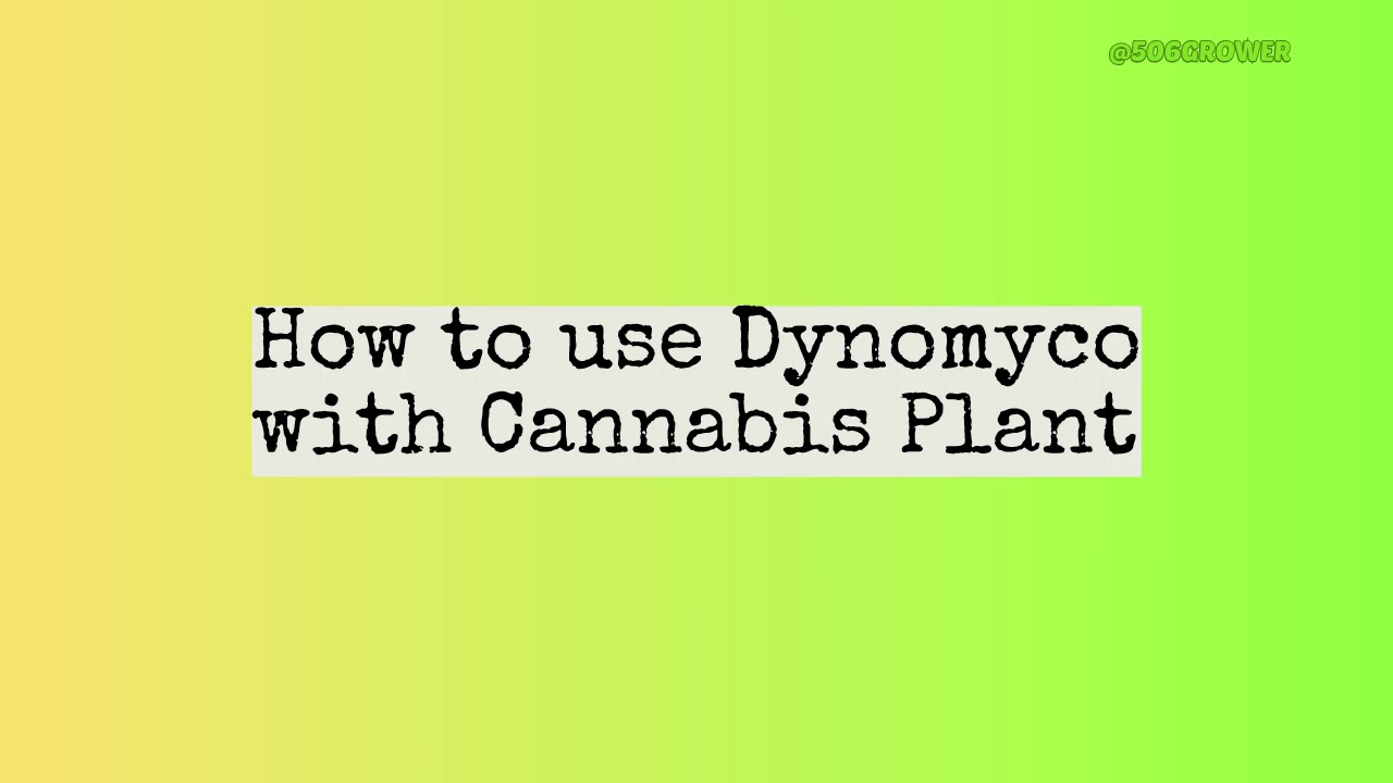 how to use dynomyco