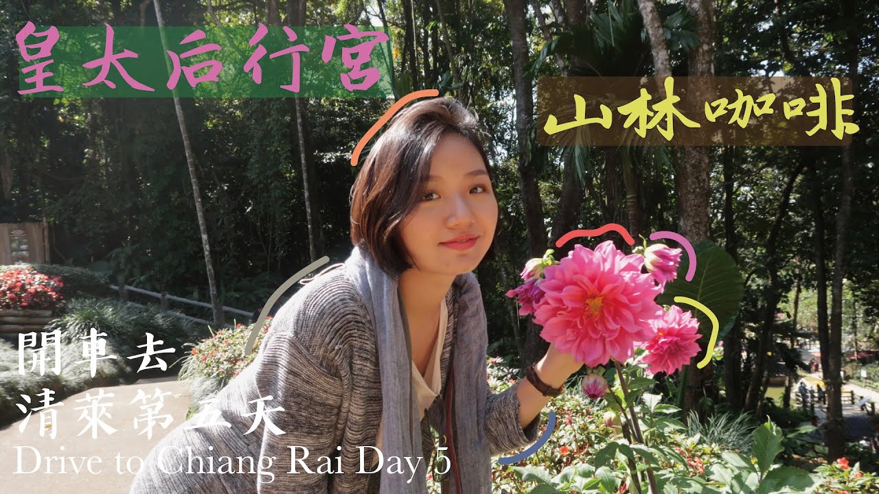 開車去清萊 最後一天 | Doi Tung皇太后行宮 山林咖啡 | 李潔 我在曼生活