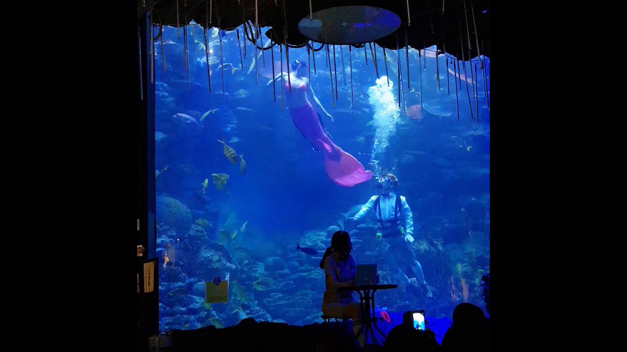 부산아쿠아리움 인어공주~☆☆
