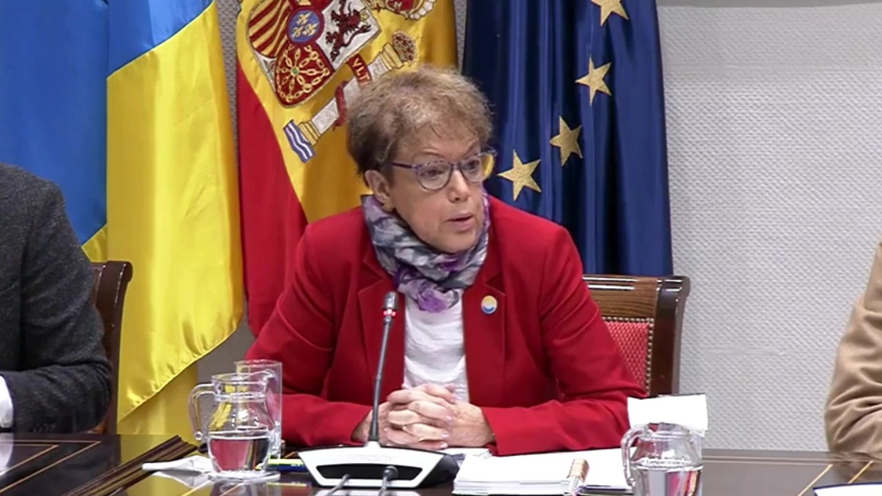 Comparecencia en la Comisión de Educación, Formación Profesional y Deportes - Parlamento de Canarias