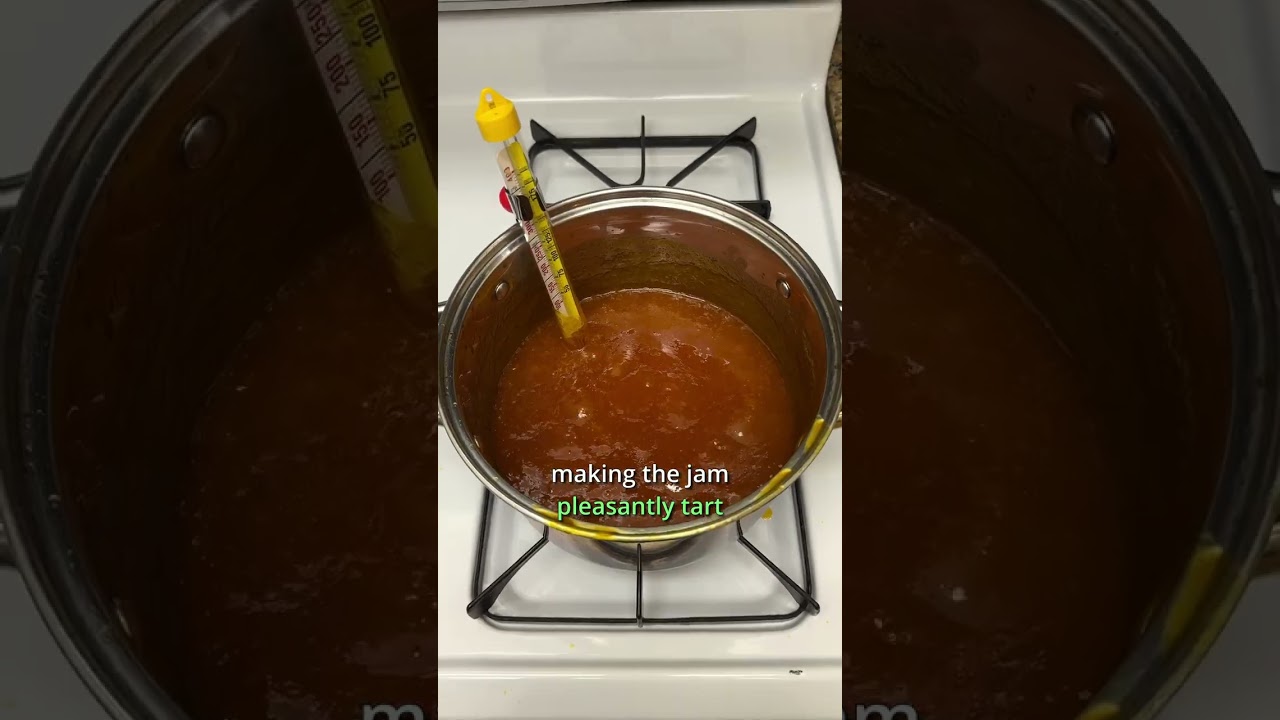 cooking Kei Apple jam from foraged fruit - #keiapple #urbanforaging