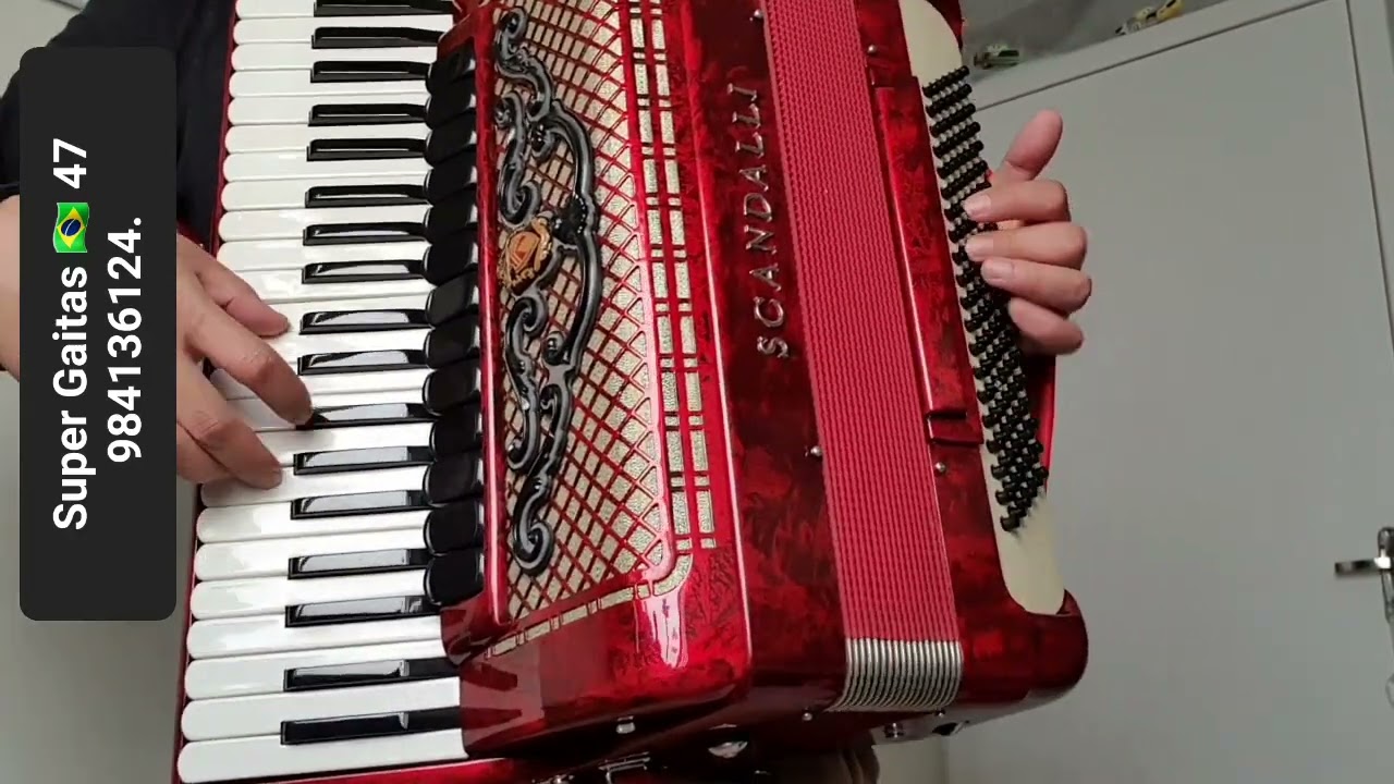VENDIDA: ACORDEON SCANDALLI POLIF&Ocirc;NICO