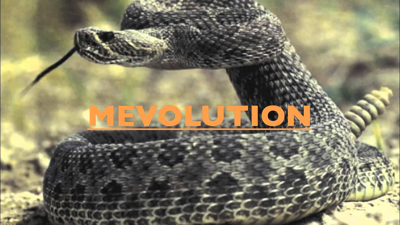 Mevolution - Rattle On (Original Mix)