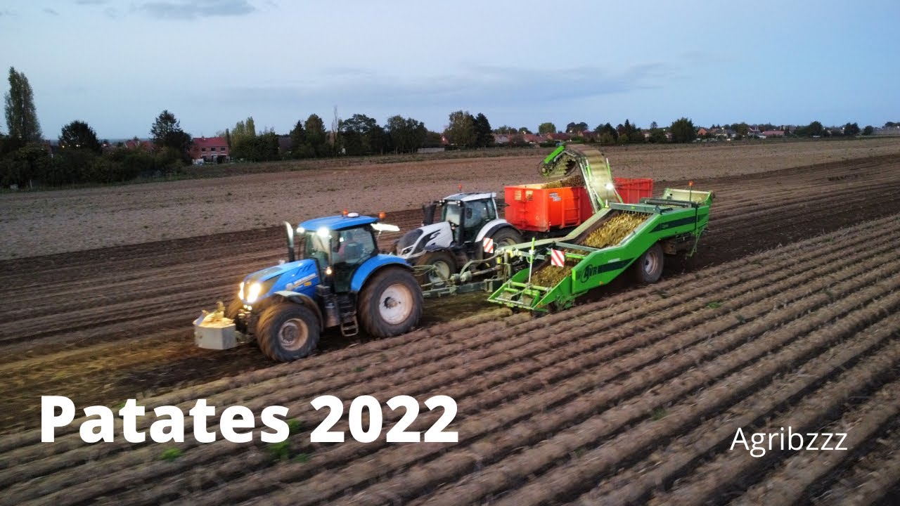 Récolte Patates 2022 avec new AVR Lynx🥔