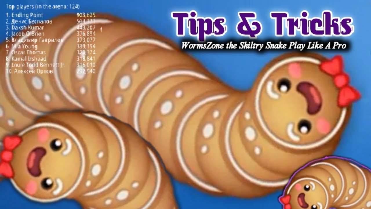 How to Be A Pro In Wormszone.io | Tips & Tricks
