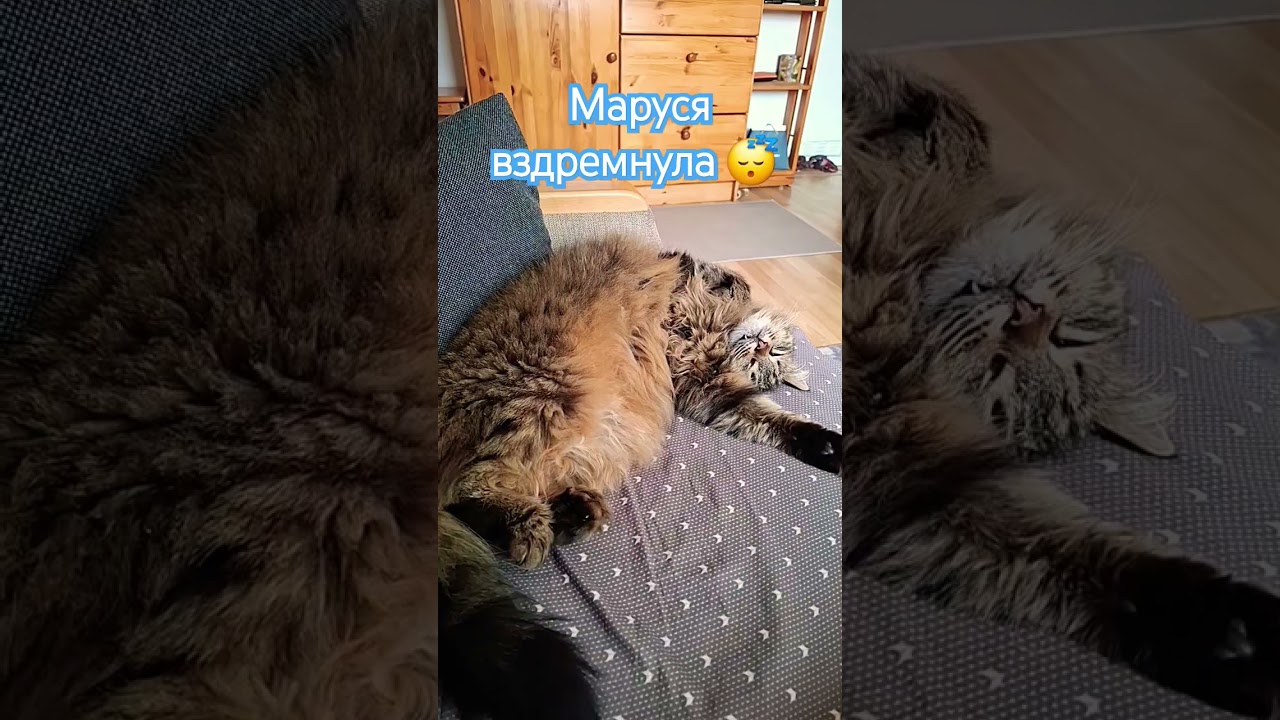 Важно балансировать😉 Не менее важен отдых, сон 💯💞 