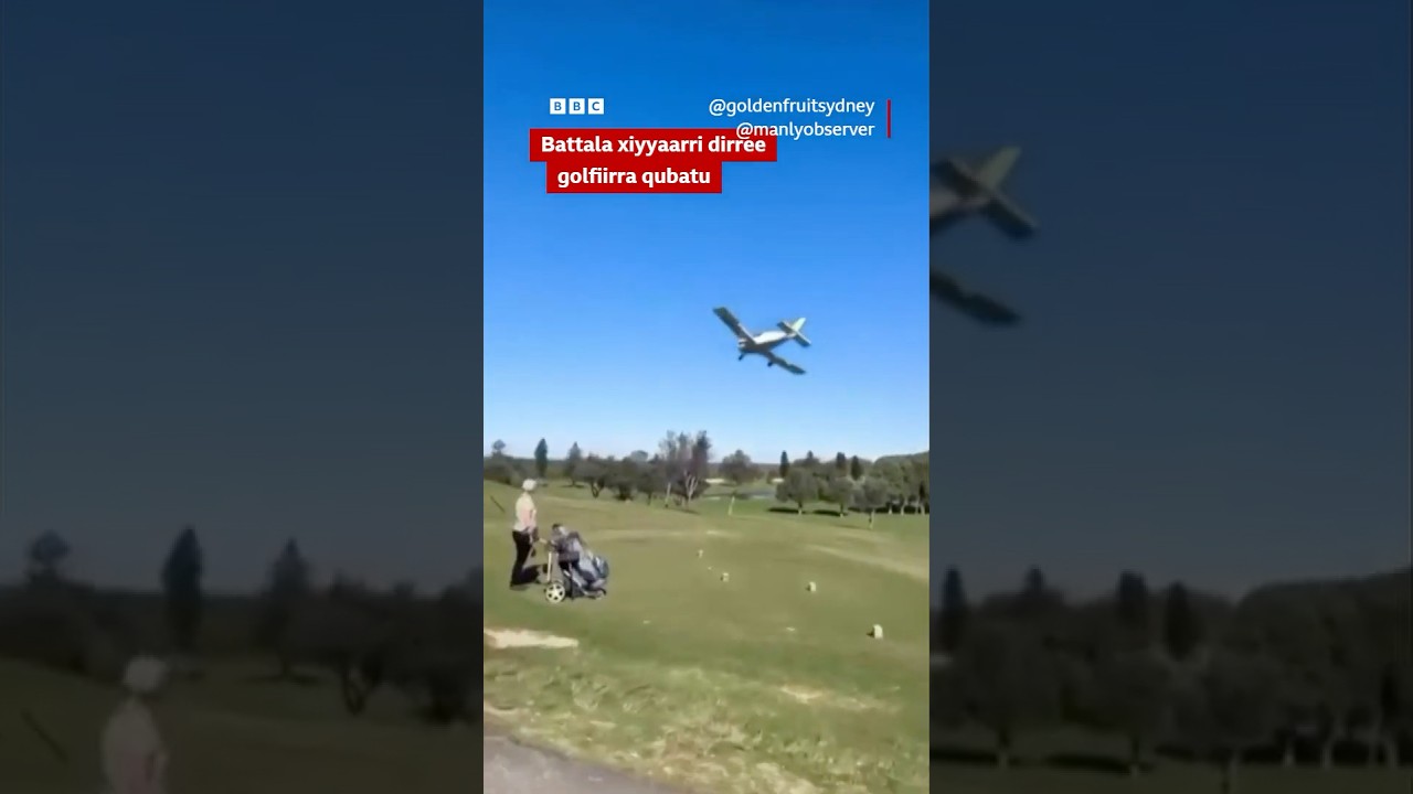 Battala xiyyaarri muddame kufee caccabu | BBC News Afaan Oromoo