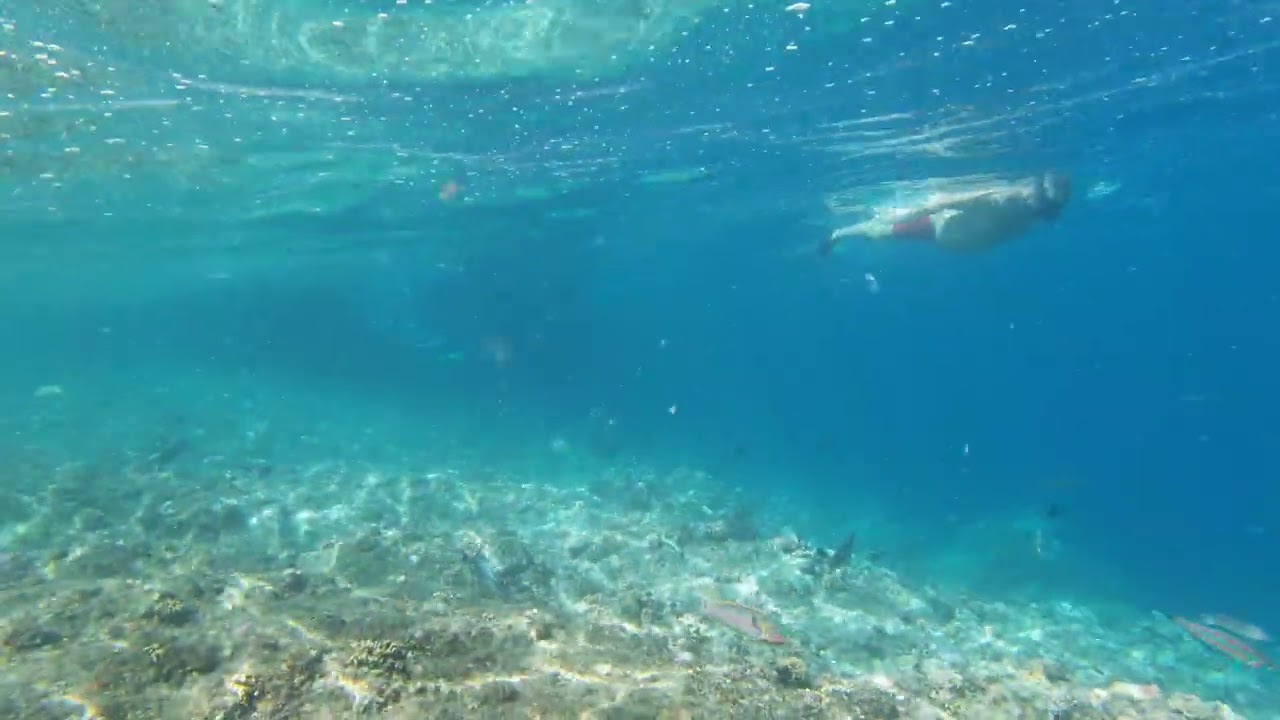 Egipt Marsa Alam styczeń 2026