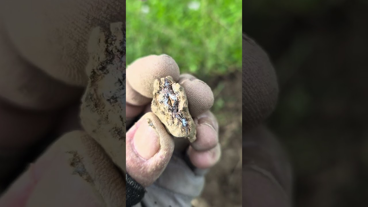 🎧Free hunting deus2🐦‍🔥