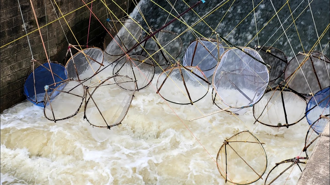 fish fishing at small barrage
