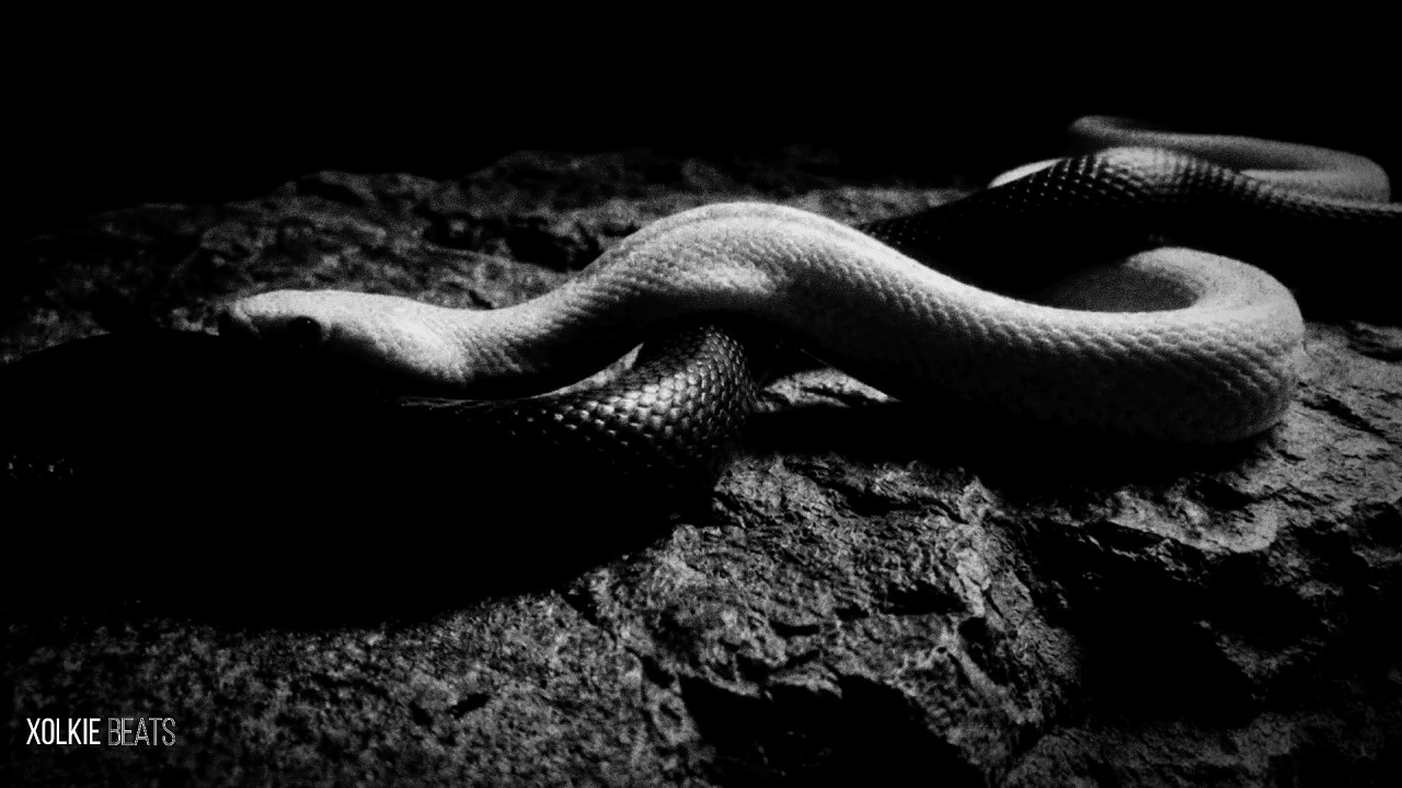 [SATILIK] Motive ''YIN YANG'' Type Trap Beat - (prod. Xolkie)