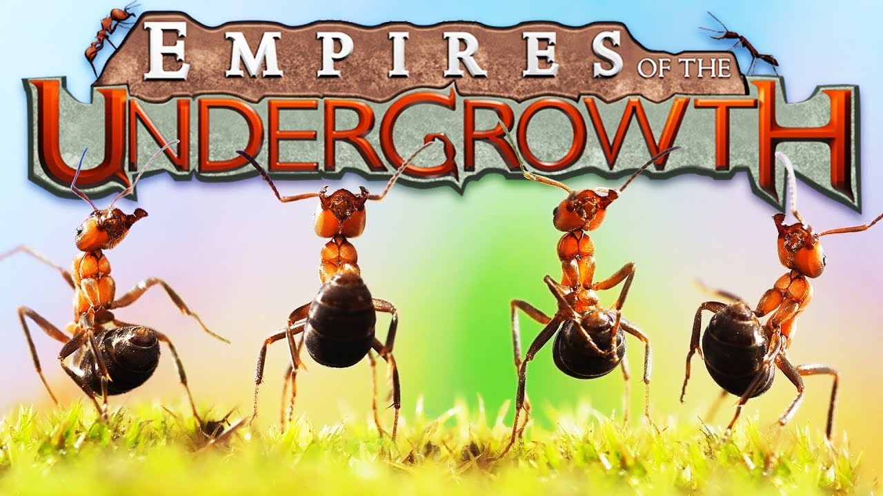 The Ant EMPIRE! - Building a Black ANT COLONY! - Empires of the Undergrowth Gameplay