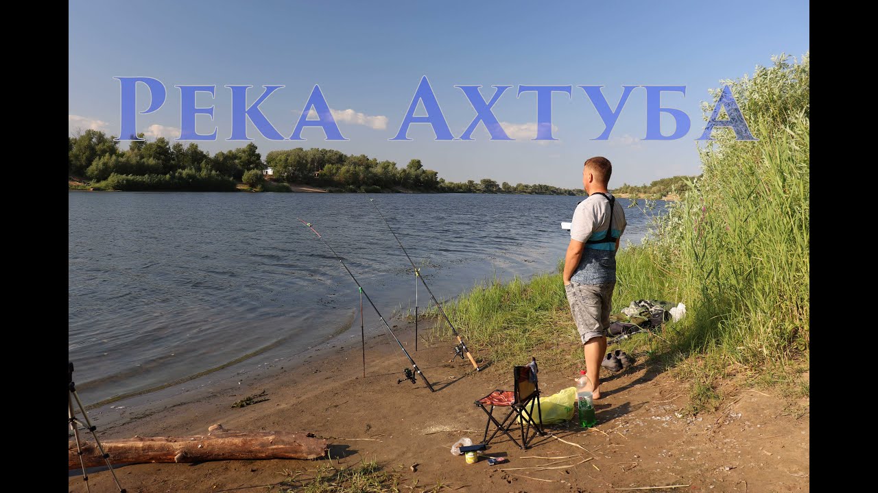 Река Ахтуба. рыбалка донки на жмых. огромный карась.