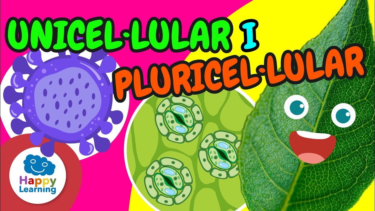 🔬 ÉSSERS UNICEL·LULARS i PLURICEL·LULARS | Vídeos educatius per a nens en llengua catalana