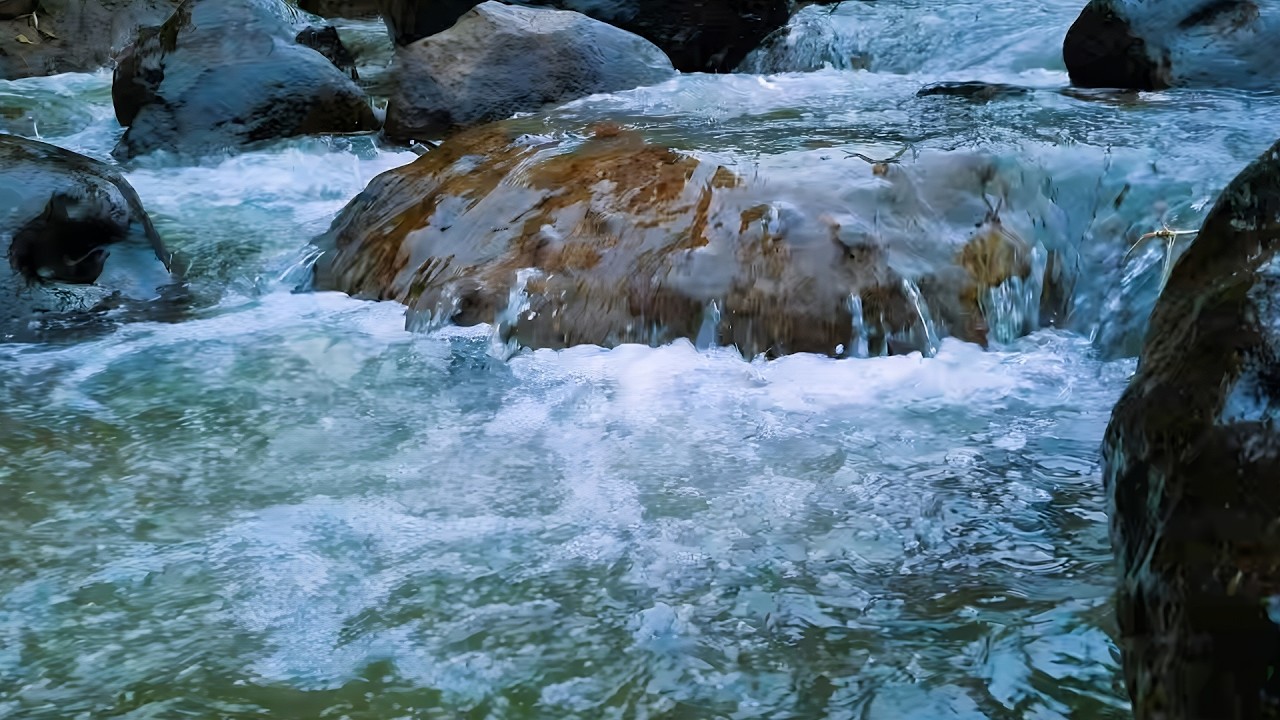 Pure Nature ASMR River Water and Bird Sounds for Sleep, Relaxation, Meditation and Medicine