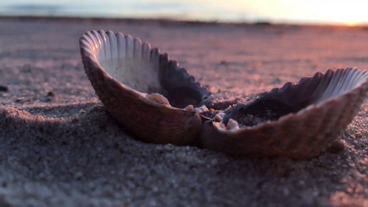 Port in Denmark 🇩🇰 + Small Beach 🏖