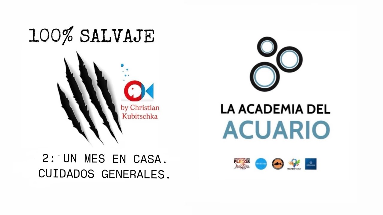 2: UN MES EN MI CASA. CUIDADOS GENERALES.