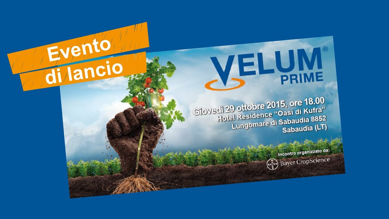 Lancio Velum Prime - Latina