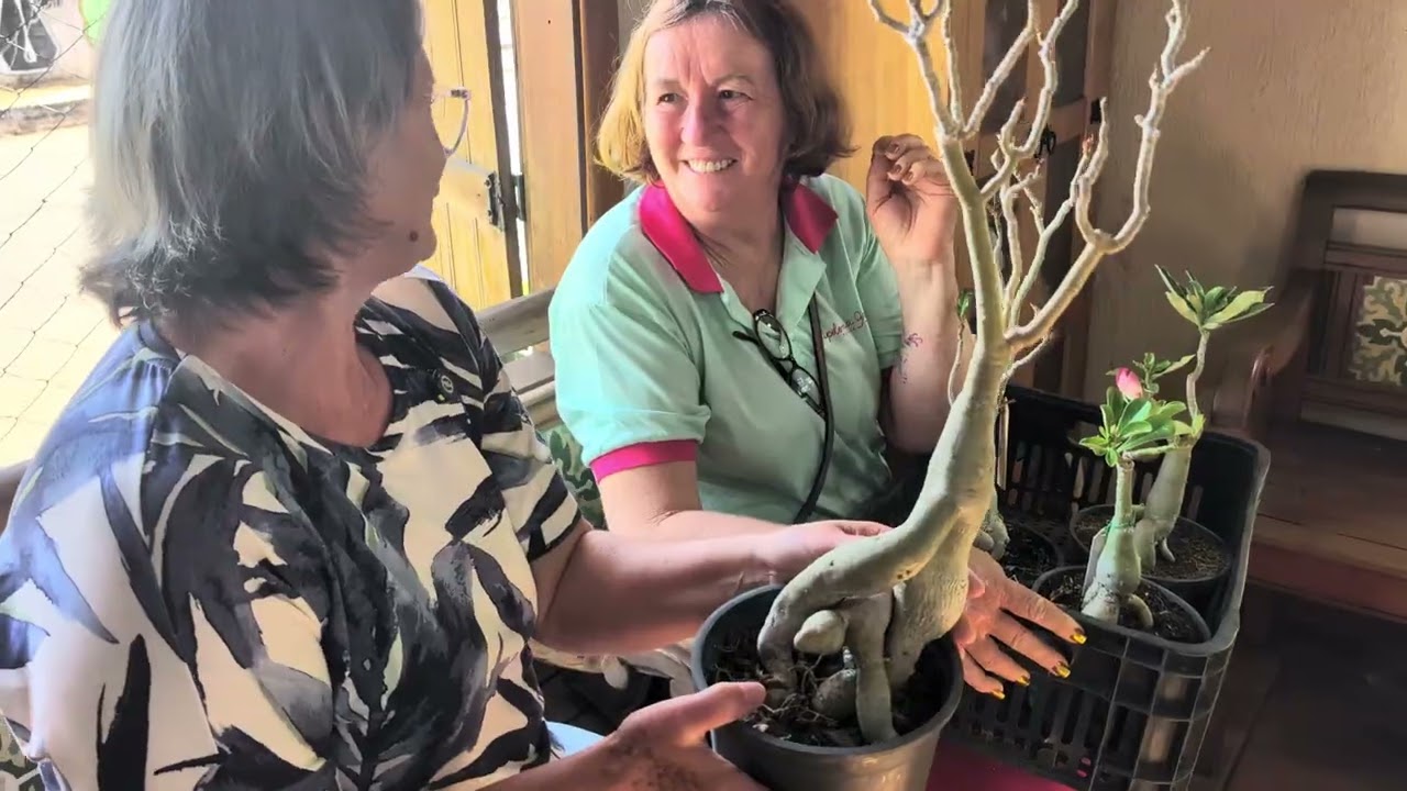 Dia das mulheres Apolonia Grade e  Jardim Toque de Mãe 