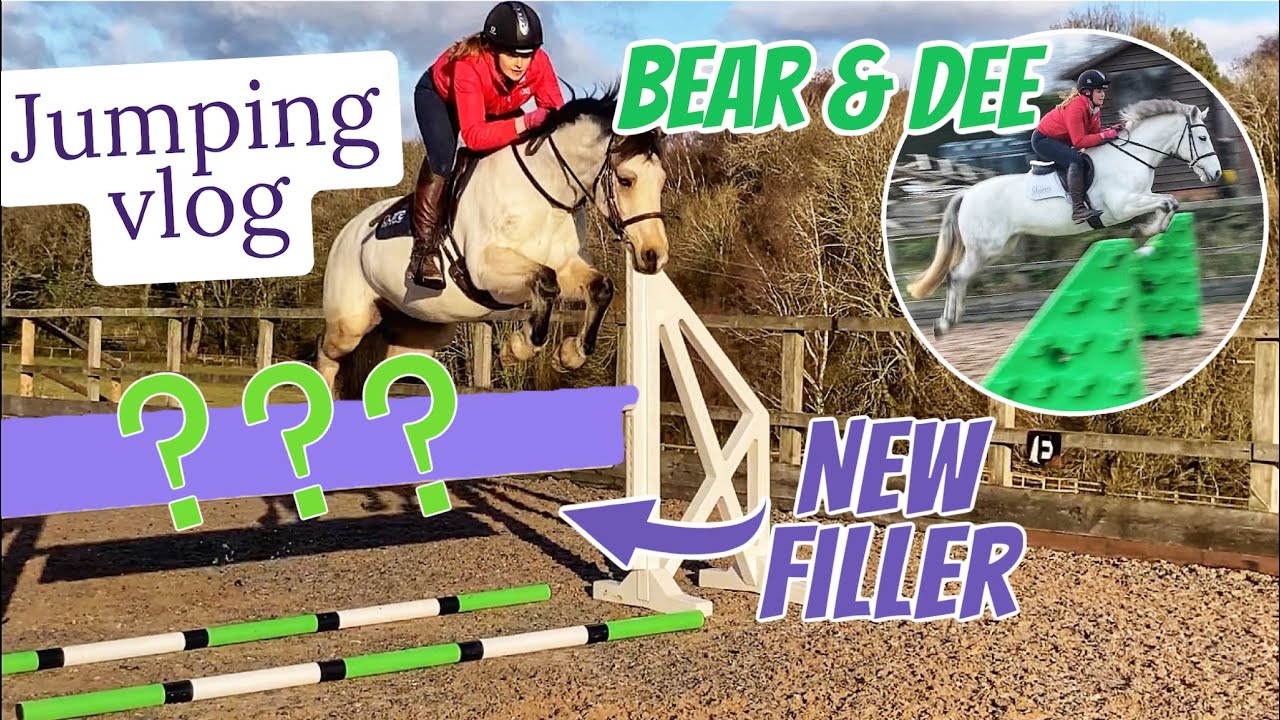 I HAVE A NEW FILLER TO JUMP ~Showjumping barn vlog