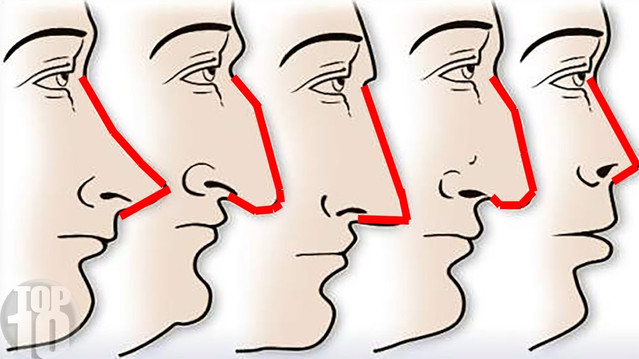 Your Nose Reveals A Ton About Your Personality!