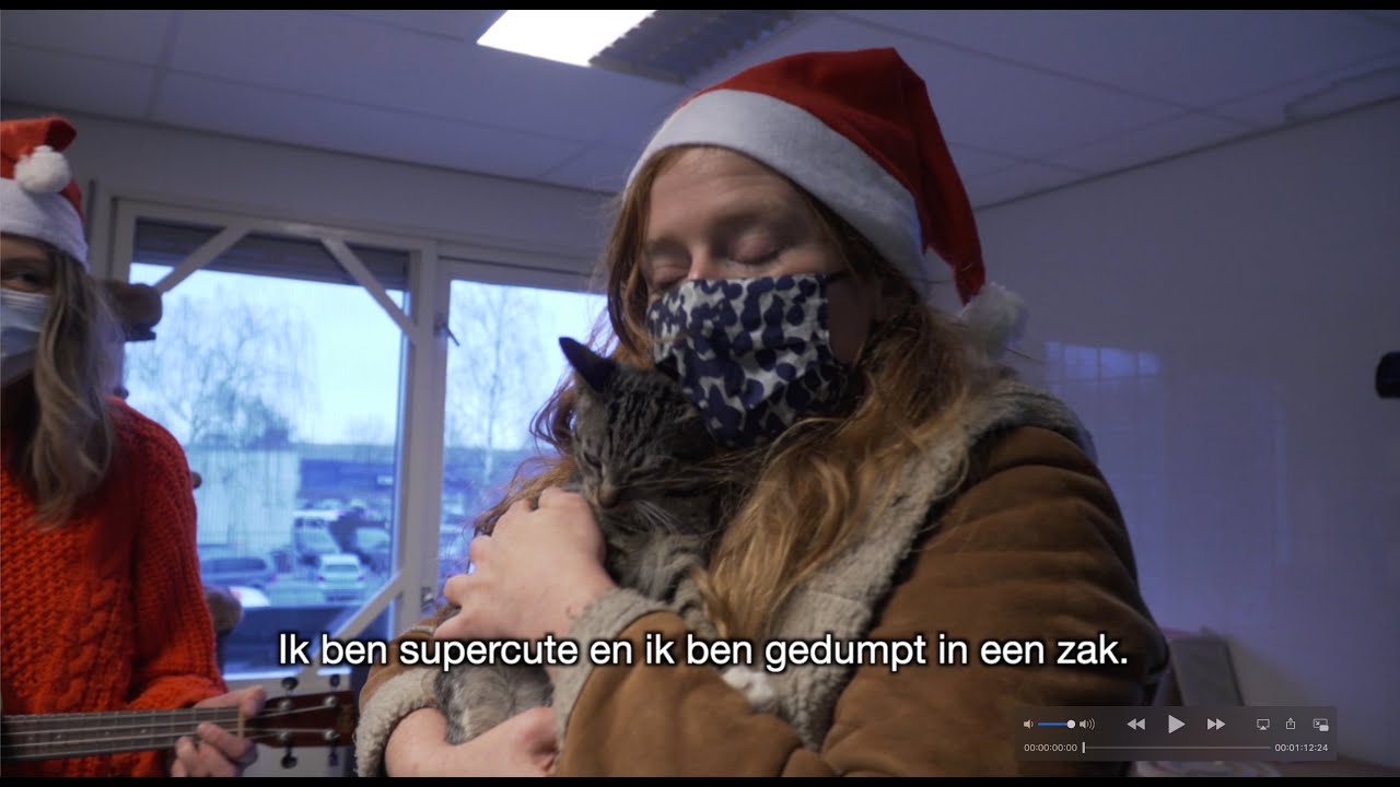 Afl. 7: Kitten - Miniconcerten voor Alleenstaanden, Alleengaanden en Andere Nabestaanden van 2020