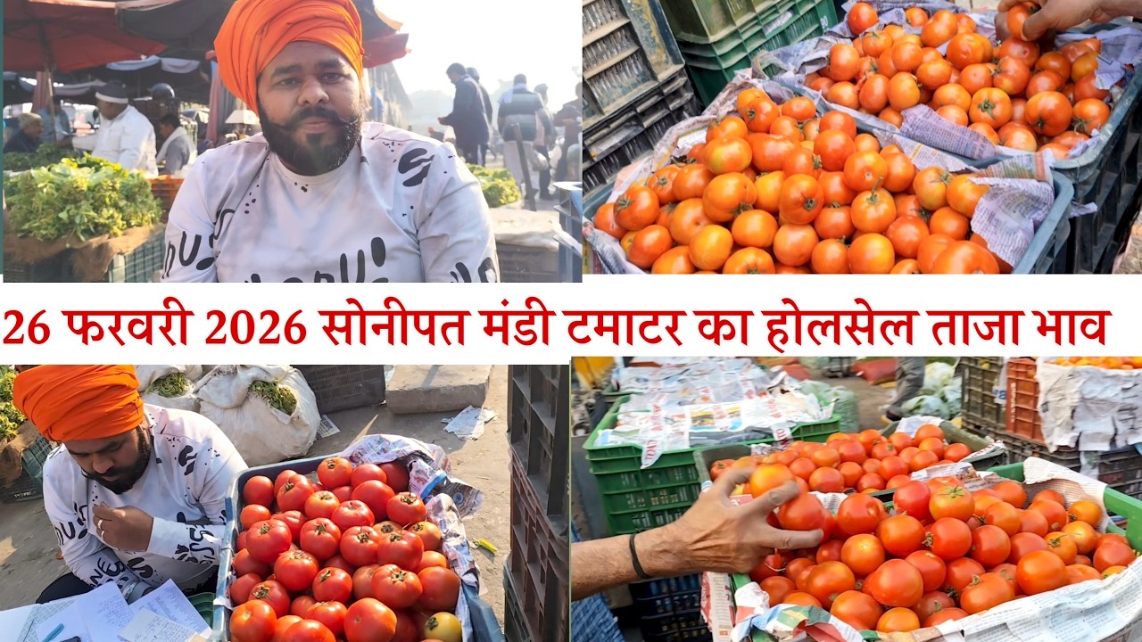 26 फरवरी 2026🍅🍅🍅 होलसेल टमाटर का ताजा भाव सोनीपत सब्जी मंडी