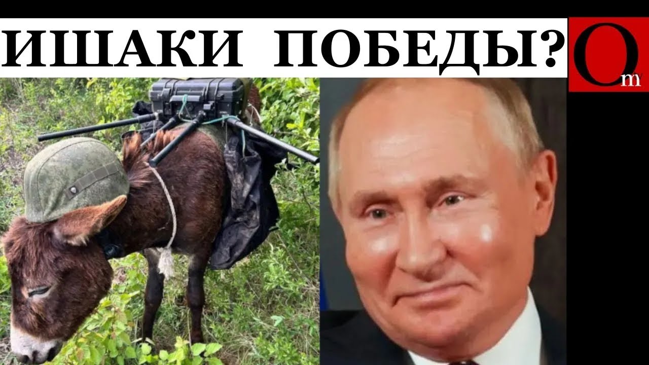 Ослиная аналоговнетность. Когда ишаки войдут в Берлин?