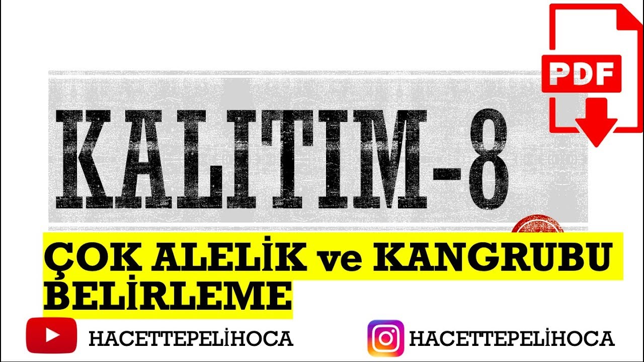 103 | KALITIM 8 | ÇOK ALELLİK ve KAN GRUBU BELİRLEME  | 10. SINIF | TYT | #hacettepelihoca