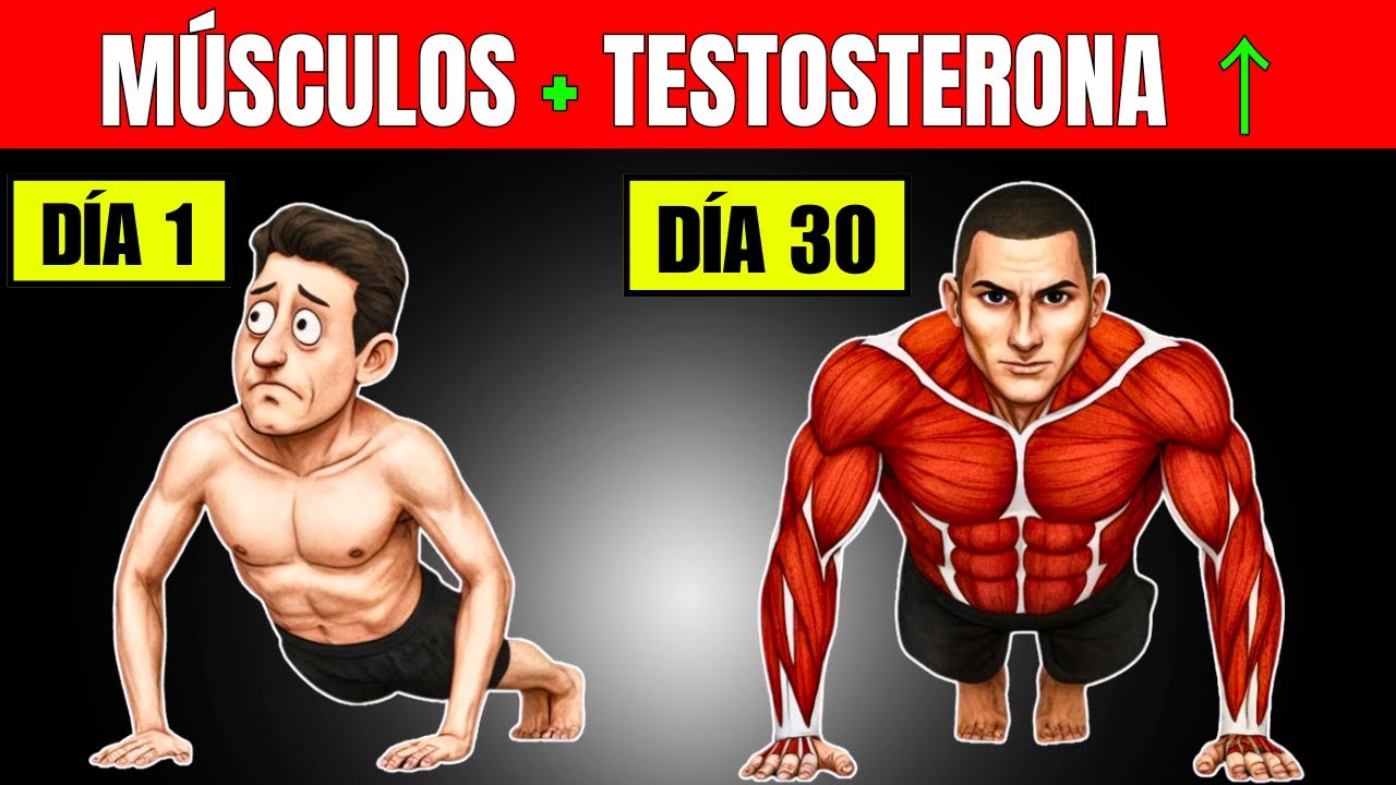 Solo El 1% Lo Sabe: Lo Que 50 Flexiones Diarias Hacen Con Testosterona, Músculos y Postura