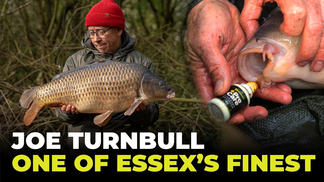 One of Essex's Finest Carp 😍 | UK Carp Fishing