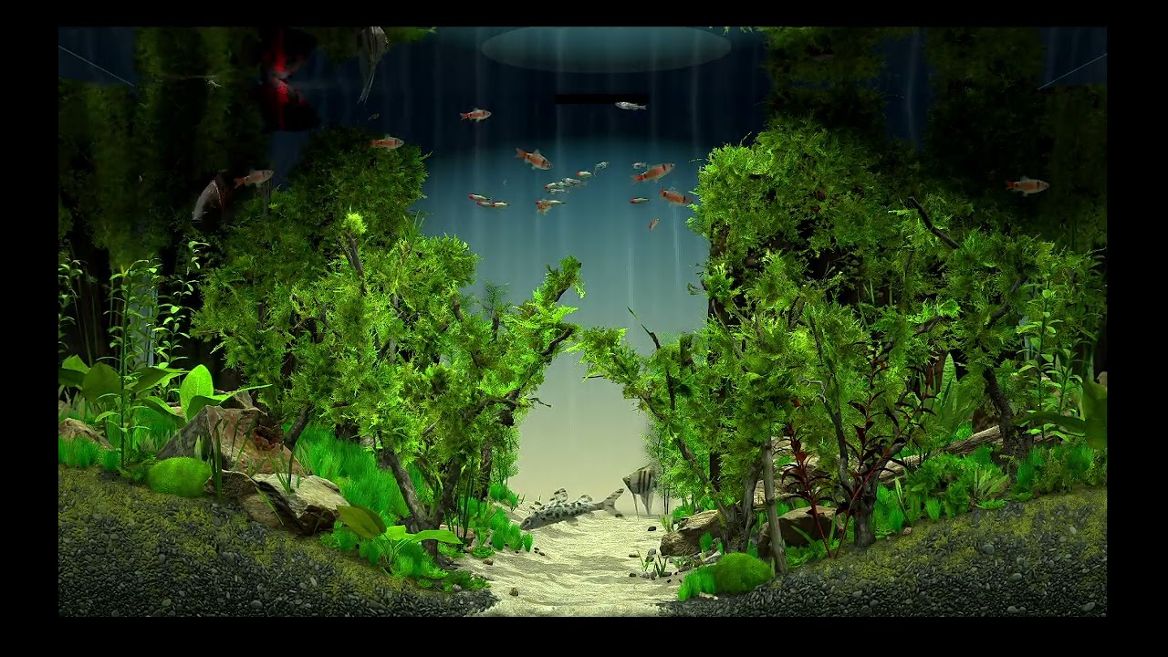 AQUARIUM / FISHTANK IDEAS - ultimate virtual fishtank