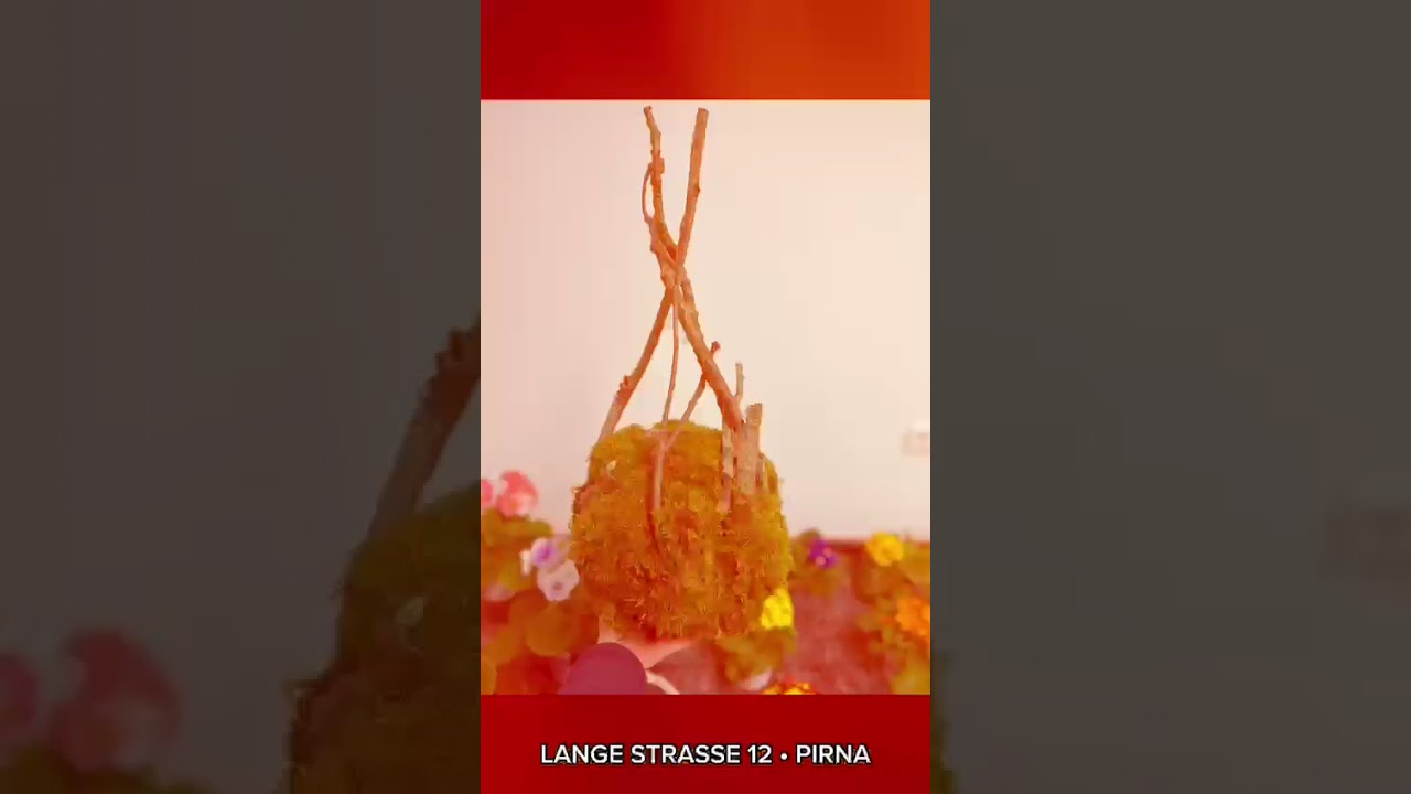 Tillansia Decoration