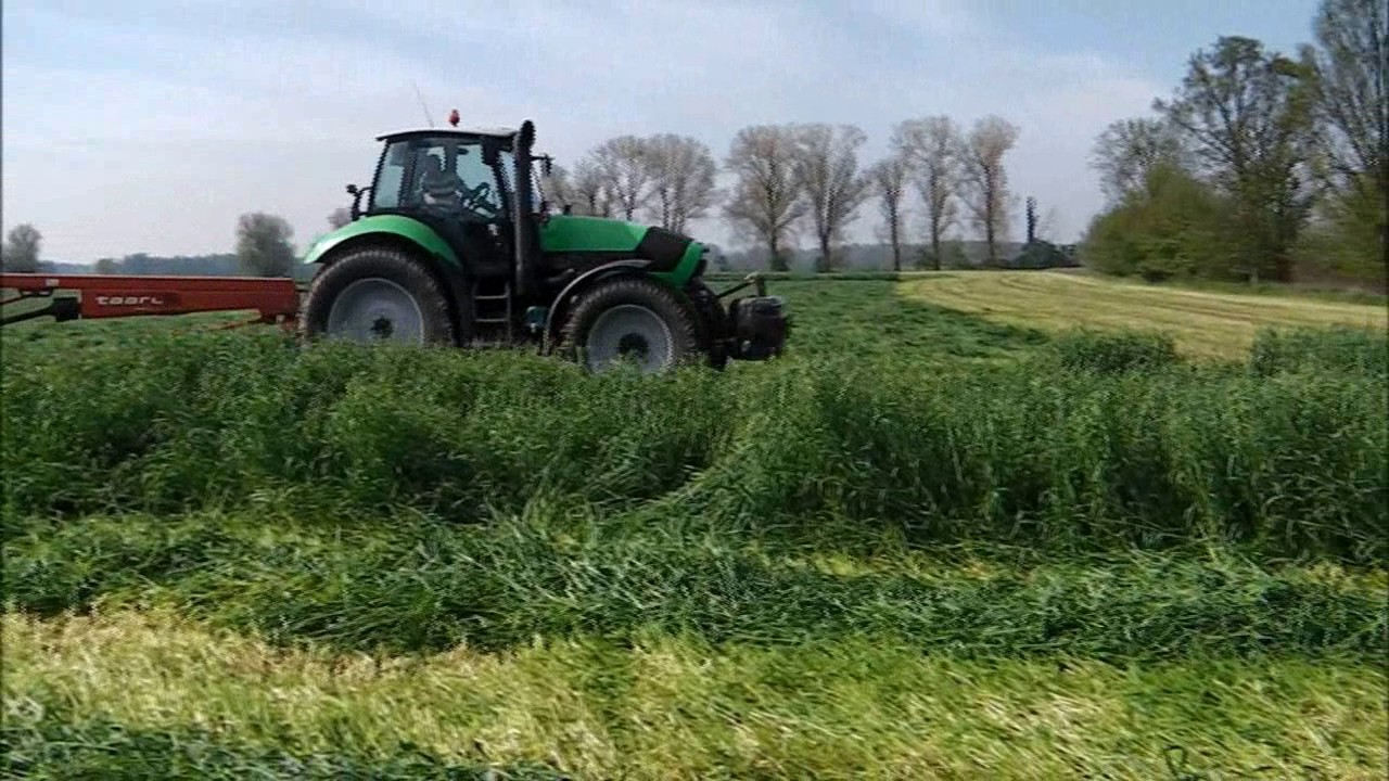 Roggen mähen & häckseln mit John Deere, Deutz, Case Teil 1 2017