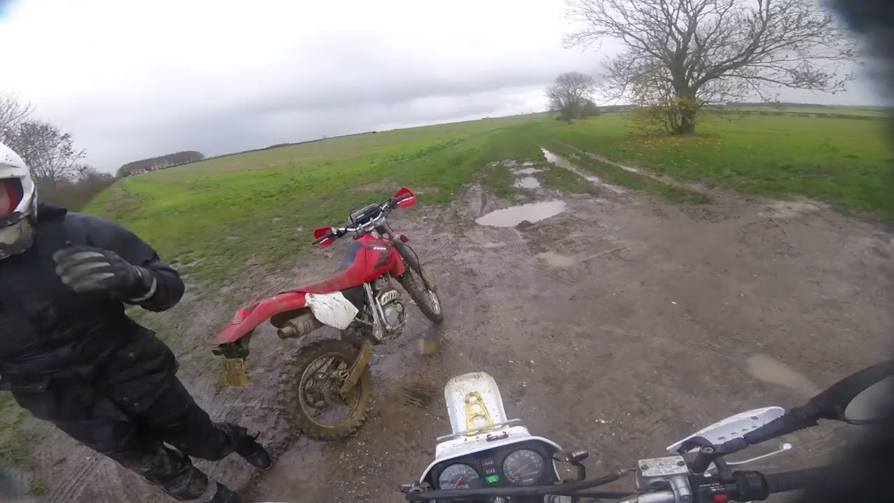 DR350 VS XR250R