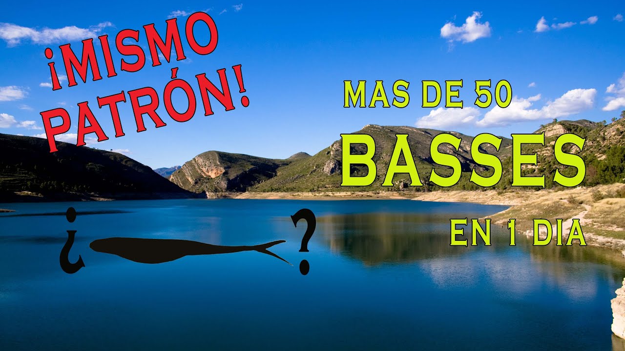 33 # ➡️ ¿CÓMO ESCOGER EL SEÑUELO? Pesca del Black Bass a medias aguas