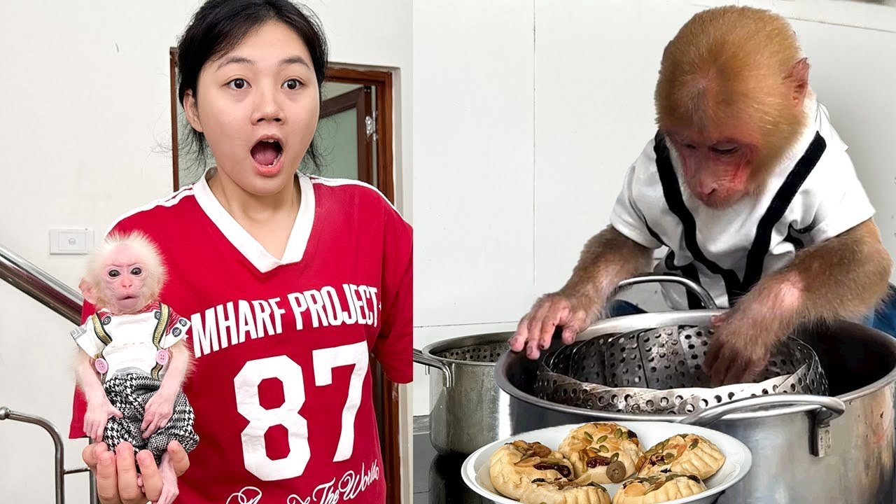 So Smart! Bibi Wakes Up Early to Prepare Breakfast and Take Care of the Ducklings 🐵🦆🍳