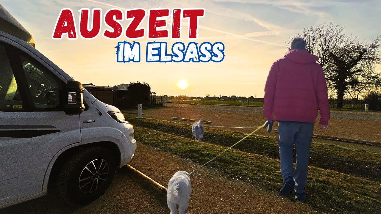 Wohnmobilreise ins Elsass am Rhein 🚐🌿 | Ruhige Stellplätze mit Hund (Seltz & Schœnau)