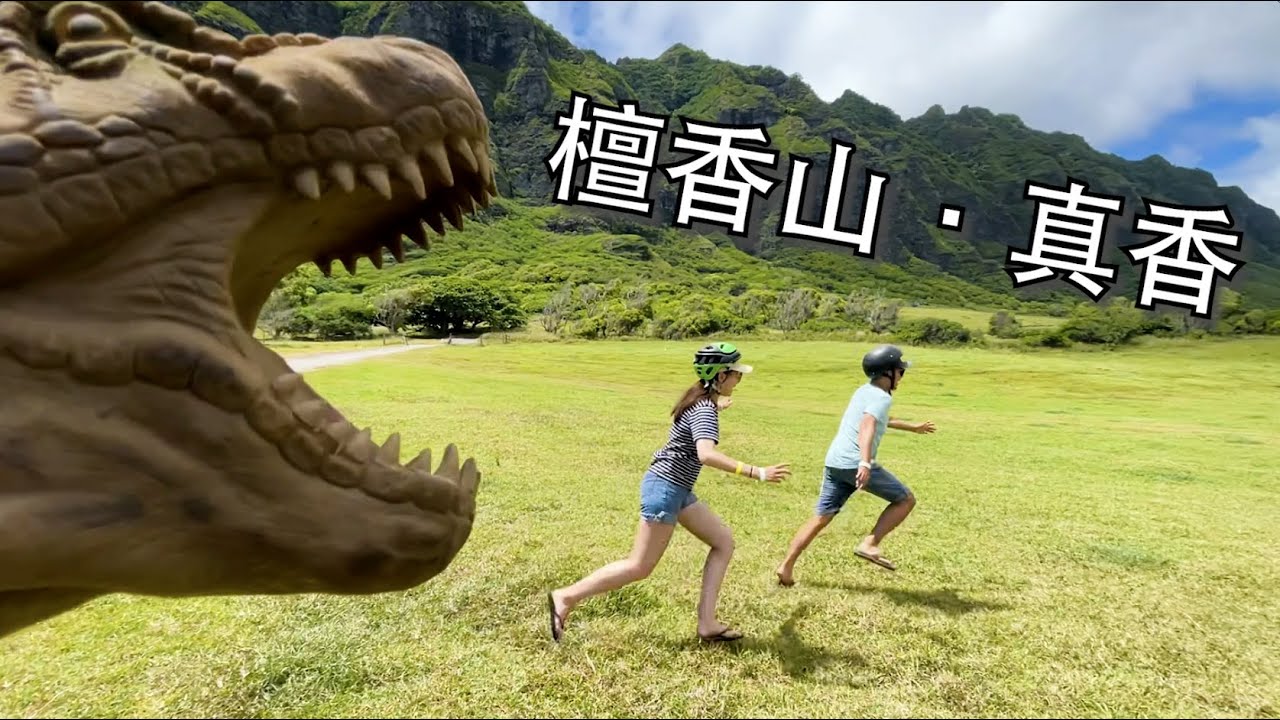 【Bund2Boro EP24】夏威夷 欧胡/檀香山 推荐，我们为什么偏爱Waikiki? Why we liked Waikiki so much while on O'ahu?