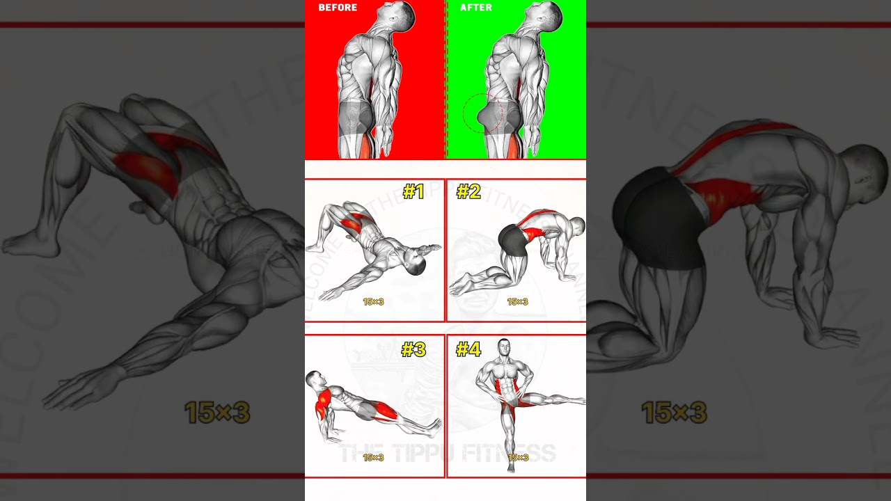 🪄Kegel Exercises for Men &ndash; Beginners Pelvic Floor Strengthening Guide #shortvideo #kegel  #workout