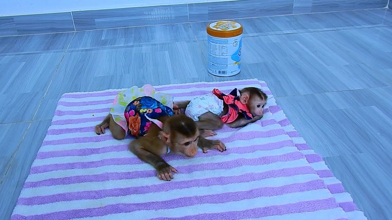 Today Julie lazy to take bottle for milk she just want to play it.