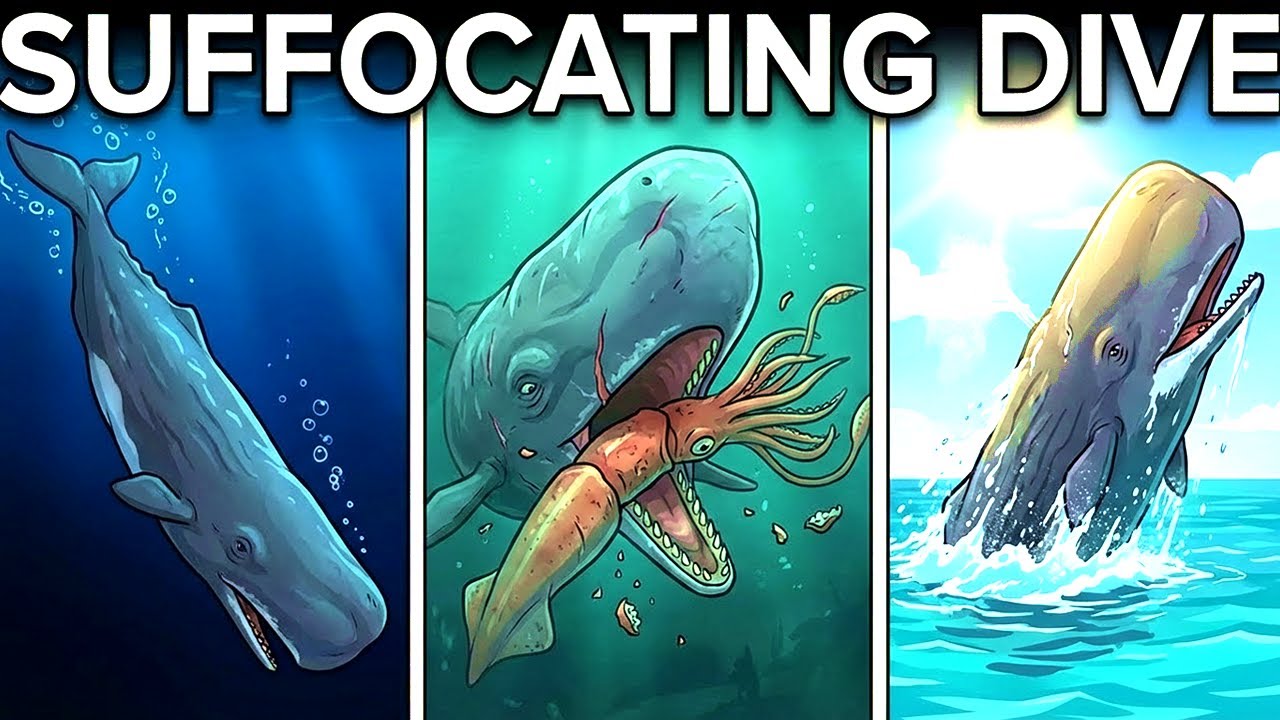 Why Sperm Whales Dive to Suffocate Themselves
