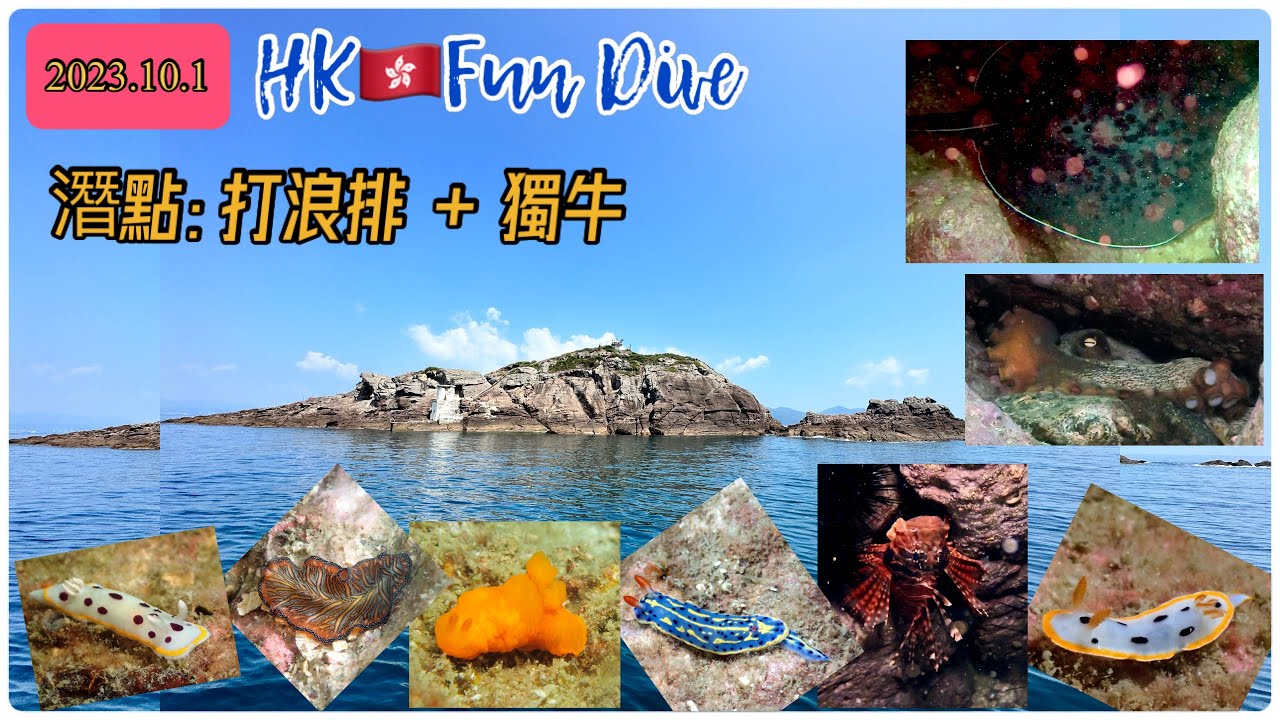 2023打浪排+獨牛洲 [香港潛水]  | HK FunDive | Breaker Reef | Shek Ngau Chau