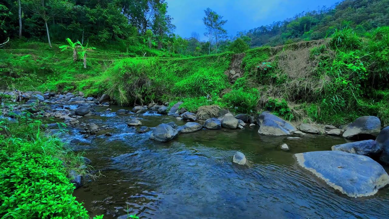 River Sound for Deep Sleep. Gentle Flowing Water for Relaxation, Meditation, Focus and Stress Relief